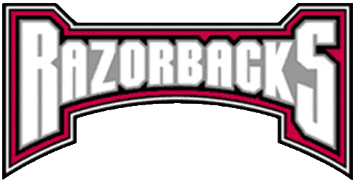 Arkansas Razorbacks 2001-2008 Wordmark Logo v5 diy fabric transfer